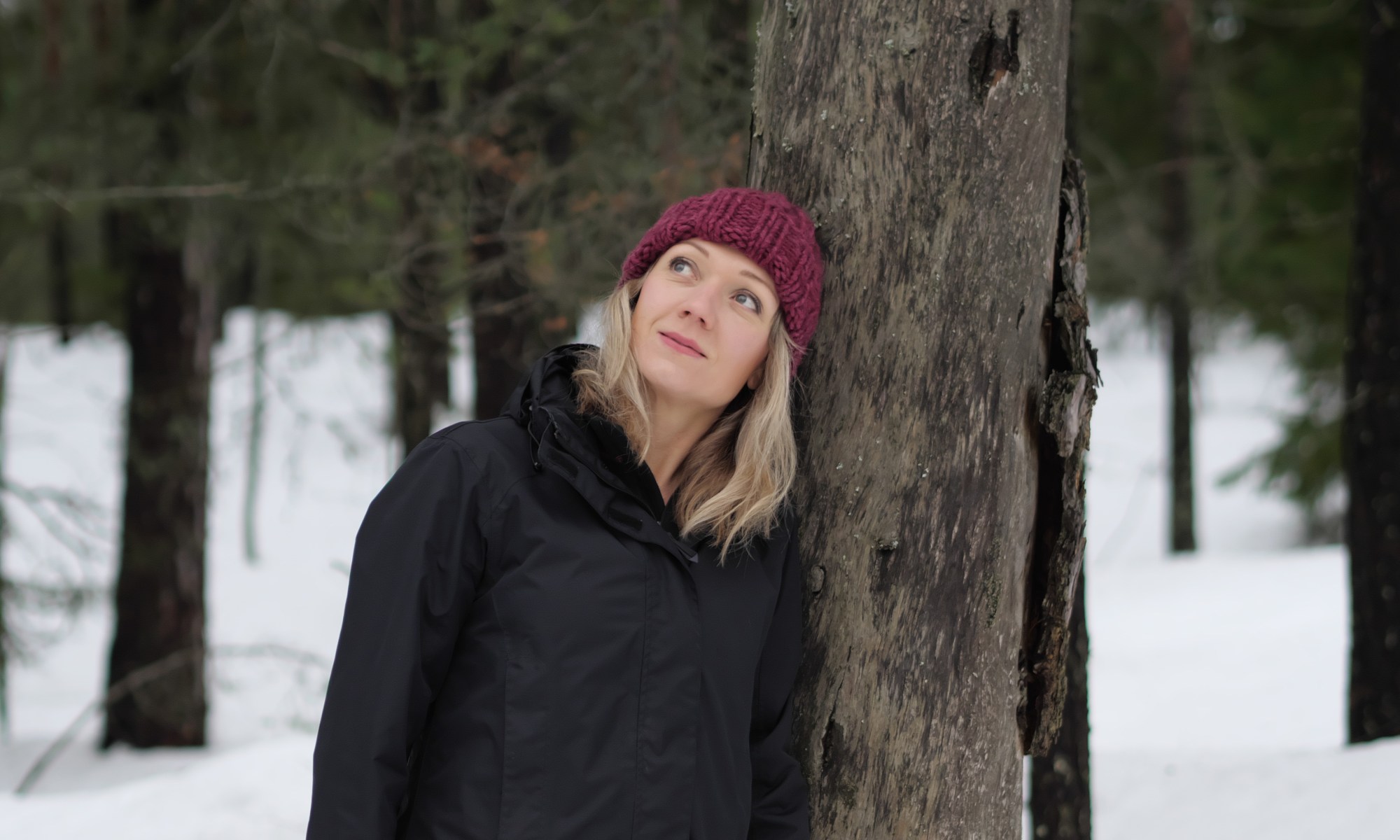 myssyfarmin villamyssy