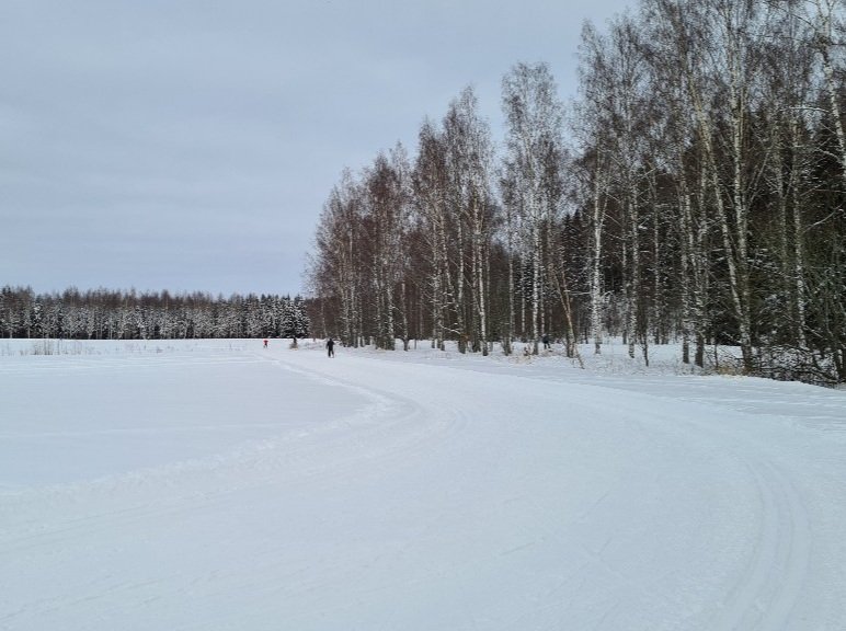kuva, jossa hiihtajia leppavaarassa