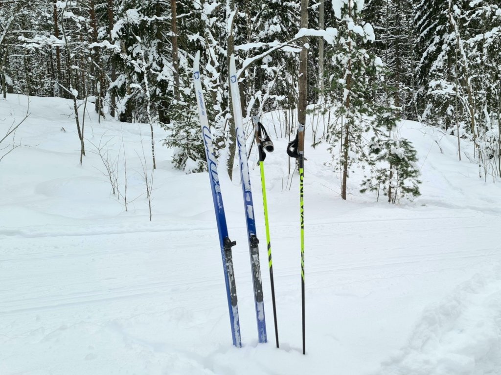 kuva, jossa sukset hangessa