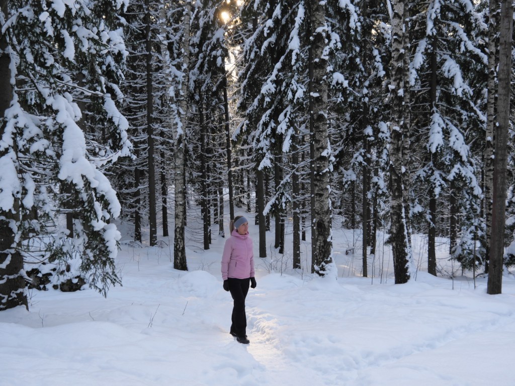 aurinko paistaa puiden siimeksesta