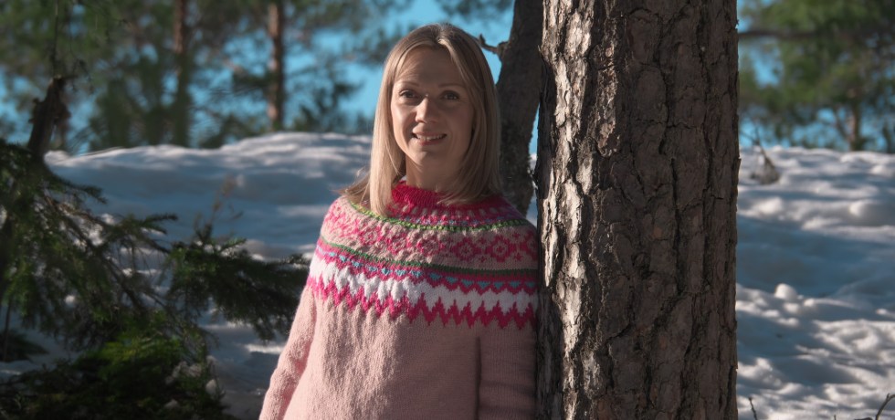 varikas islantilaisneule