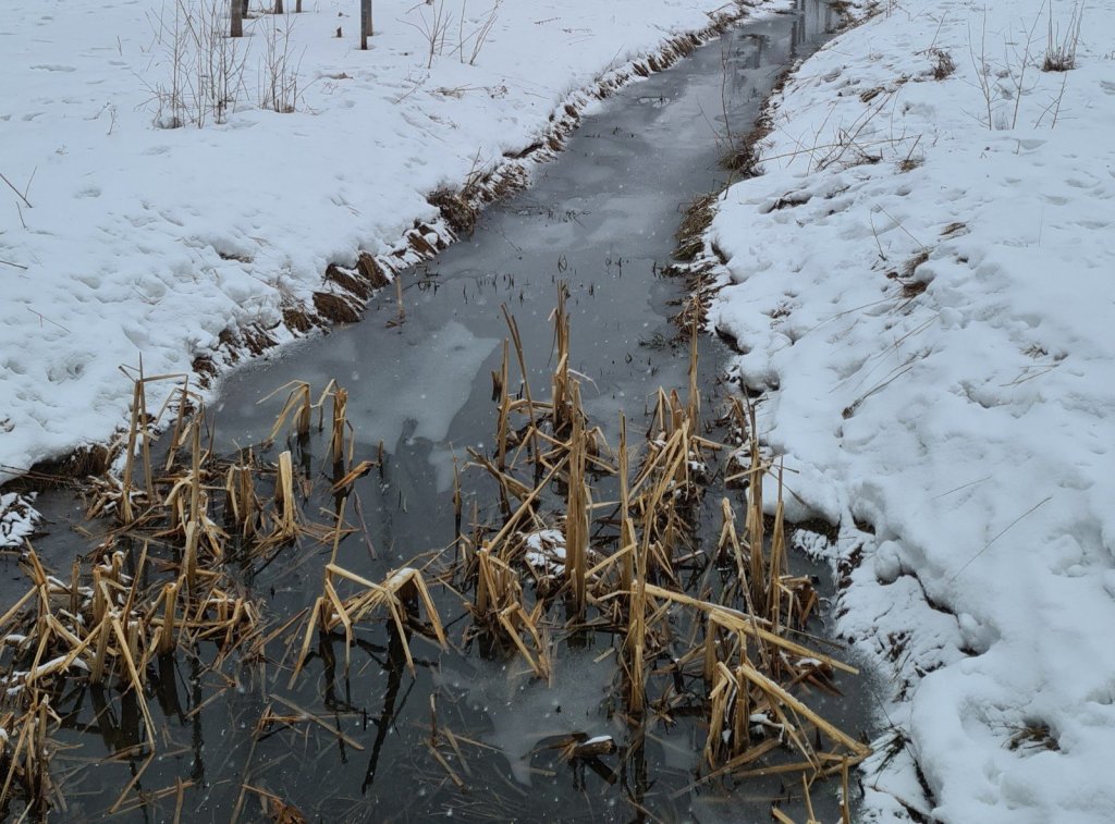 takatalvi maaliskuussa