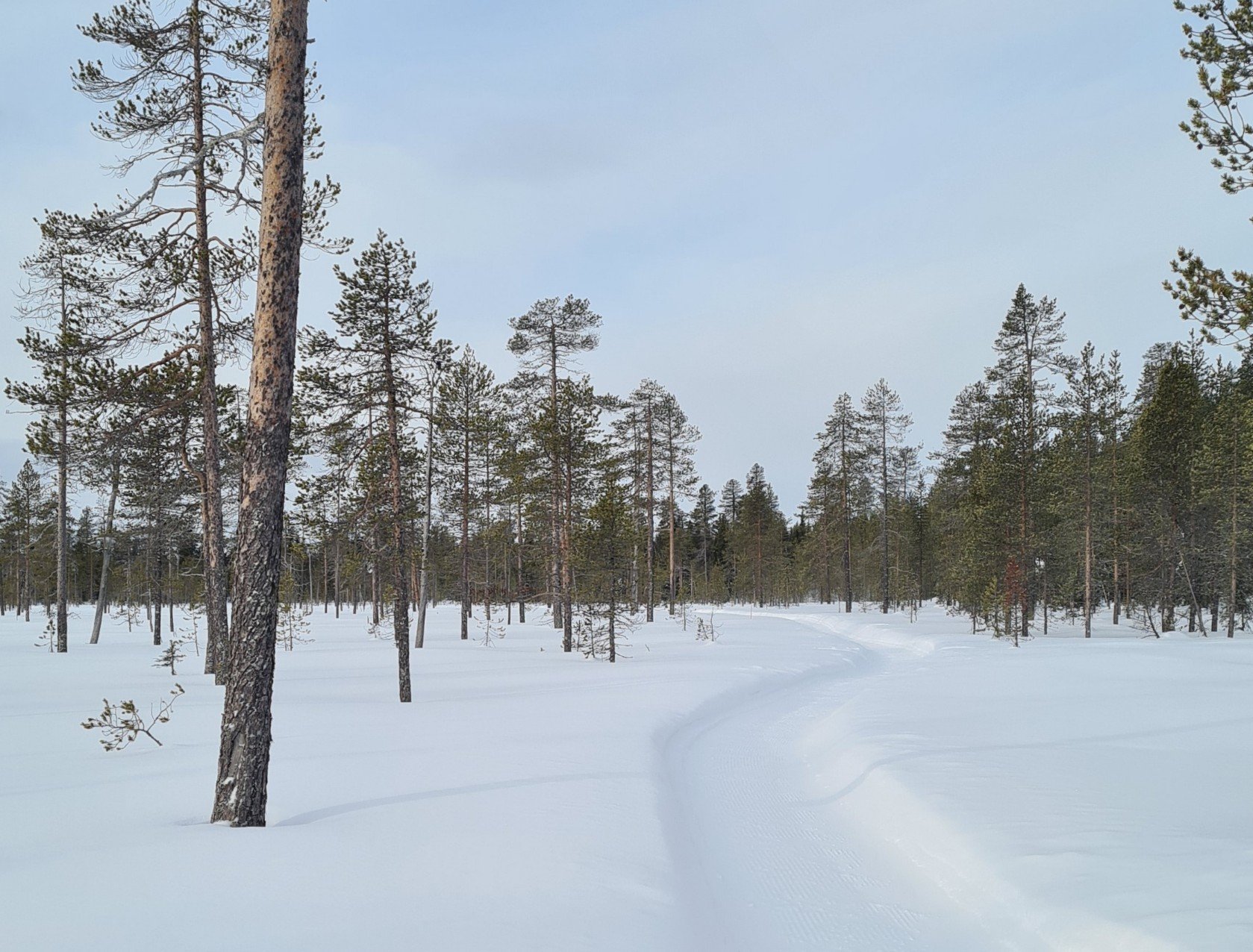 talvipolku yllaksella