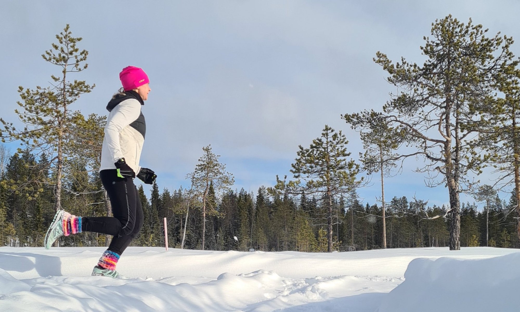polkujuoksua lapissa