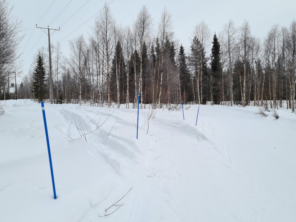 miten talvipolku on merkitty maastoon