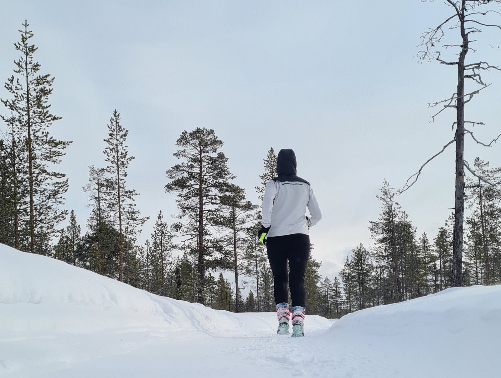 polkujuoksua yllaksella
