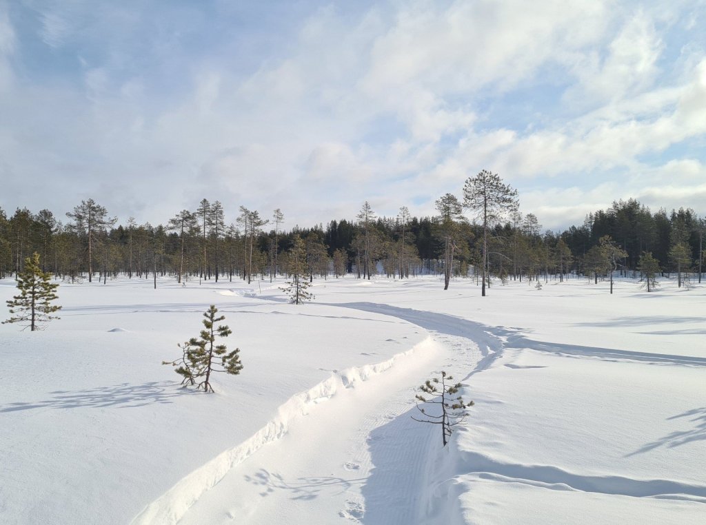 polkujuoksu talvella