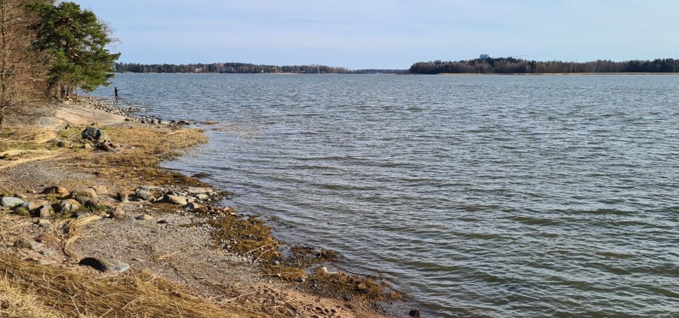 mies onkii laajalahdella