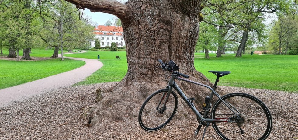 traskandan puisto espoossa