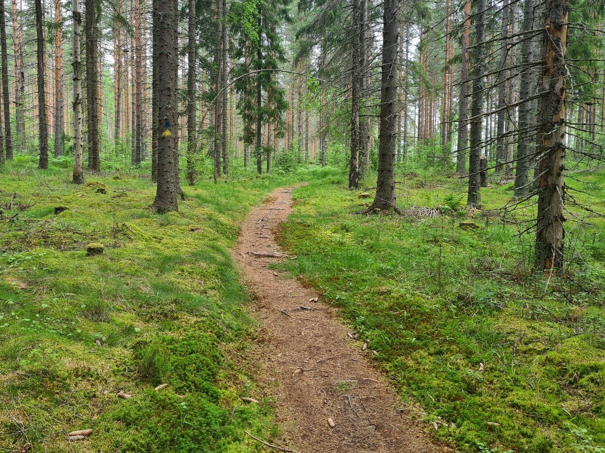 polkujuoksu rollaattoribaana