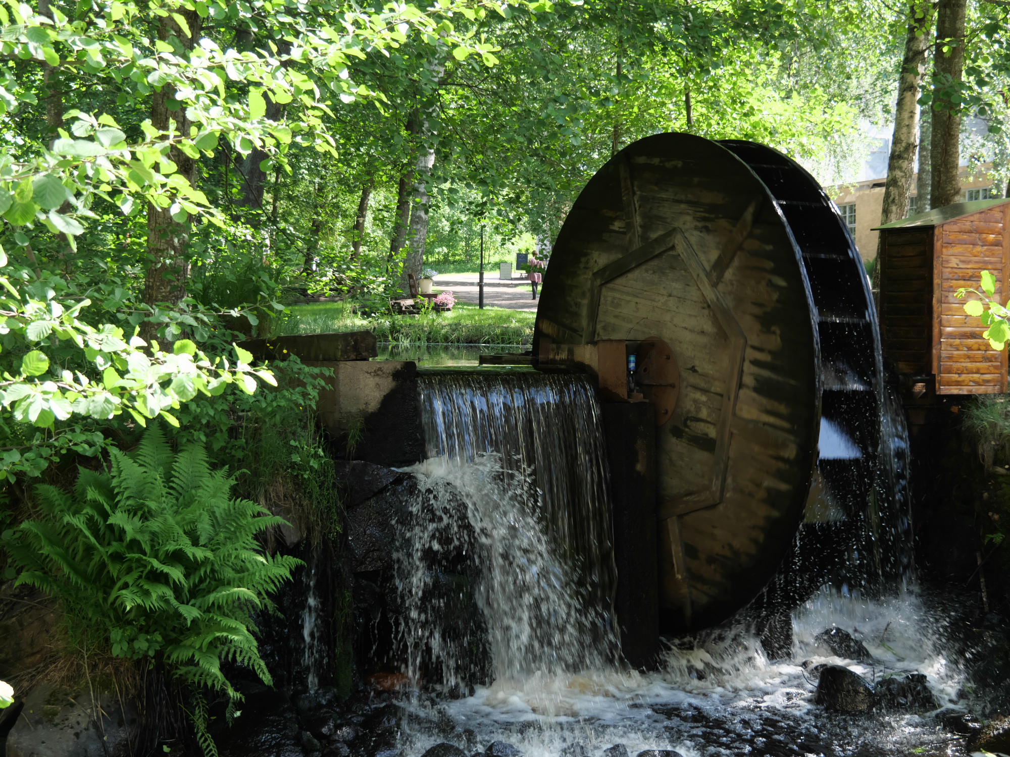 vesiratas mathildedalissa