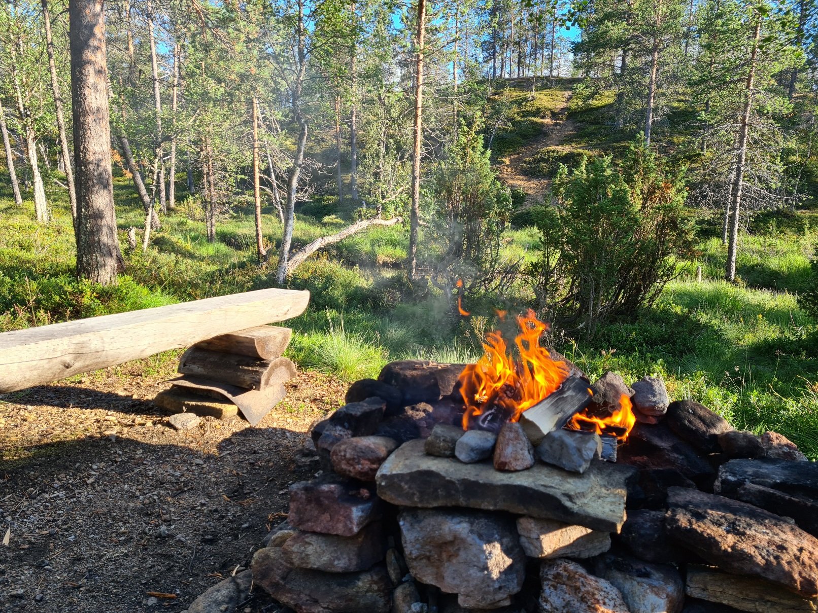 tulija saariselka mokki