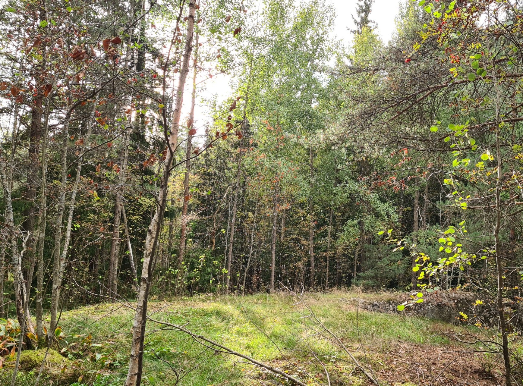 sadepisaroita ilmassa