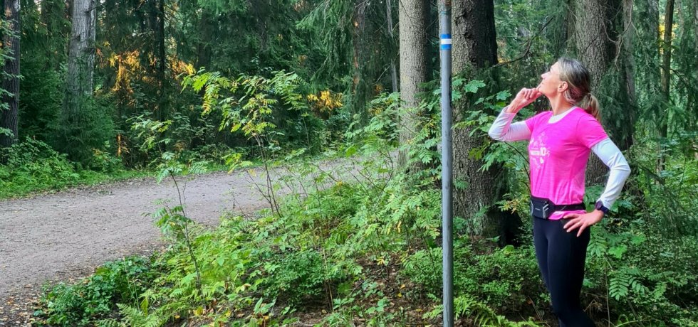 opasteet helsingin keskuspuistossa