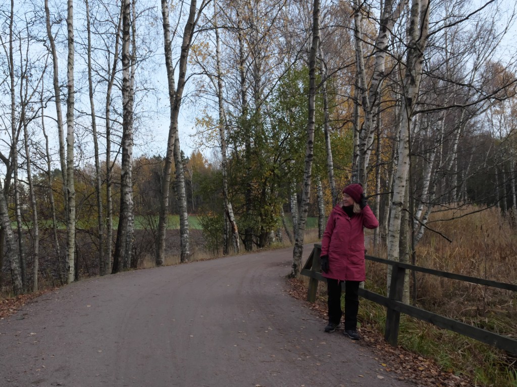 helsinki viikki pelto