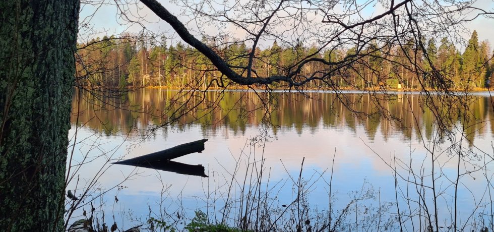 pieni jarvi kauniaisissa