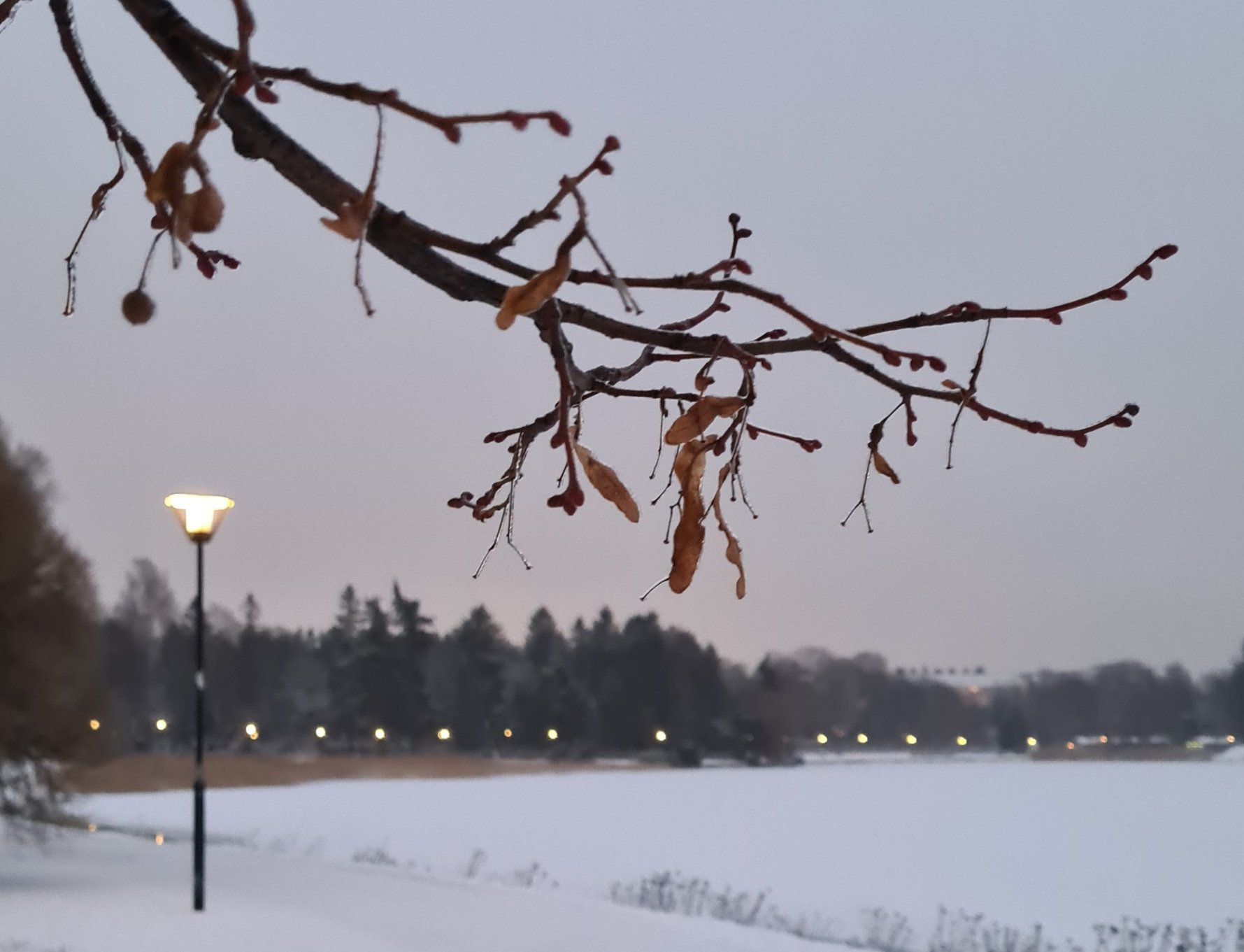 hietaniemi merenranta helsinki