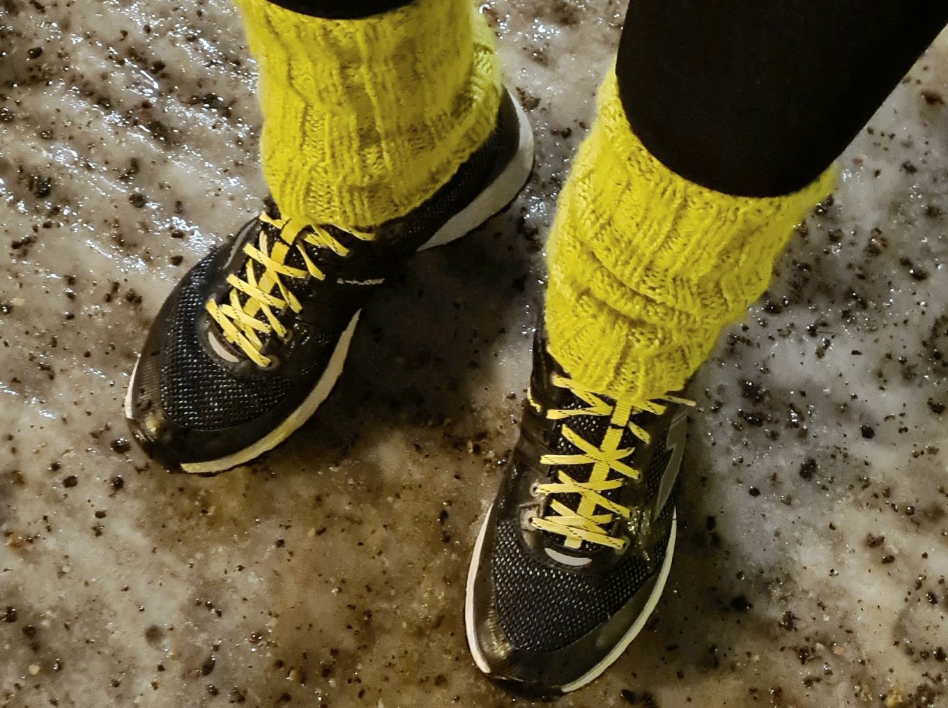 sarva xante nastalenkkarit ja keltaiset saarystimet