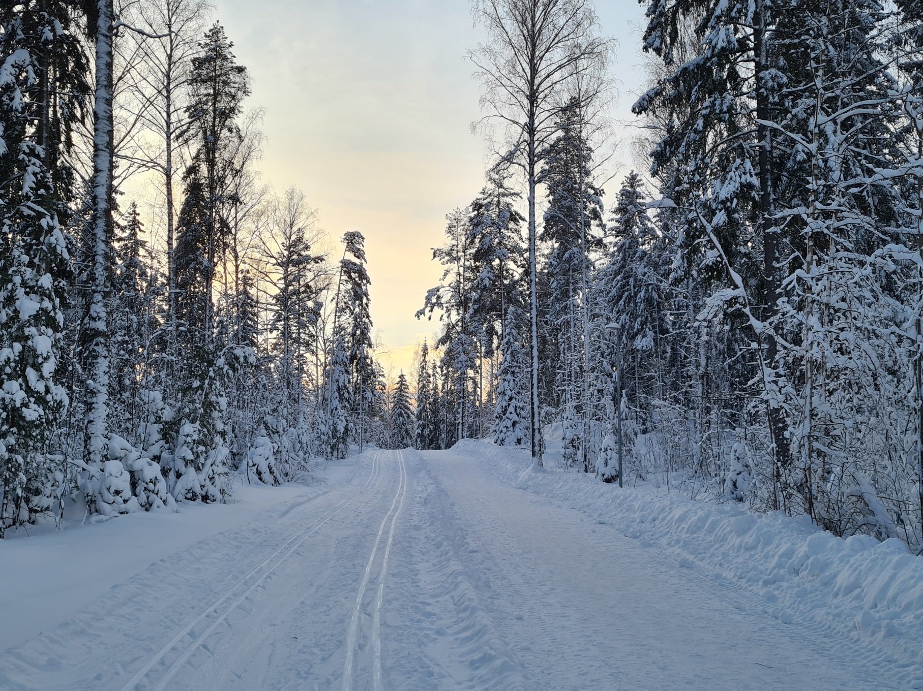 latuja leppavaarassa