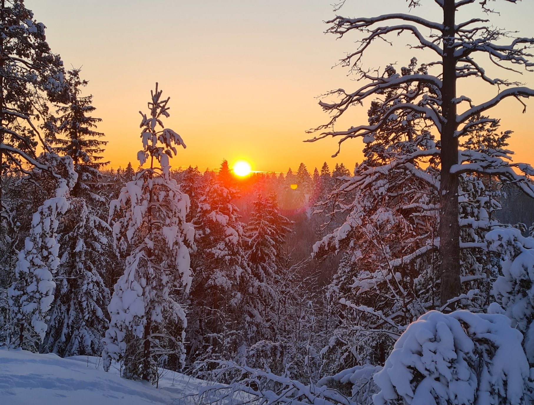 auringonlasku talvella espoossa