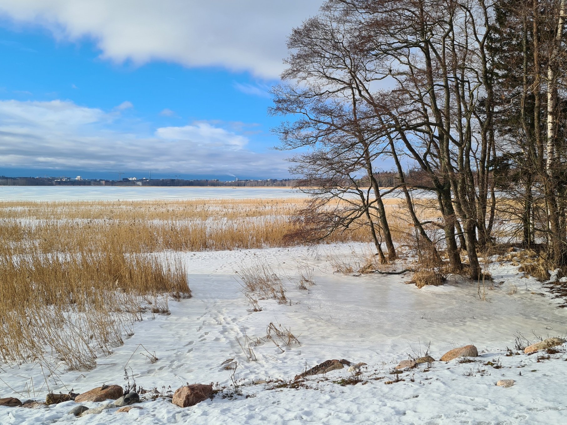 laajalahti juosten talvella