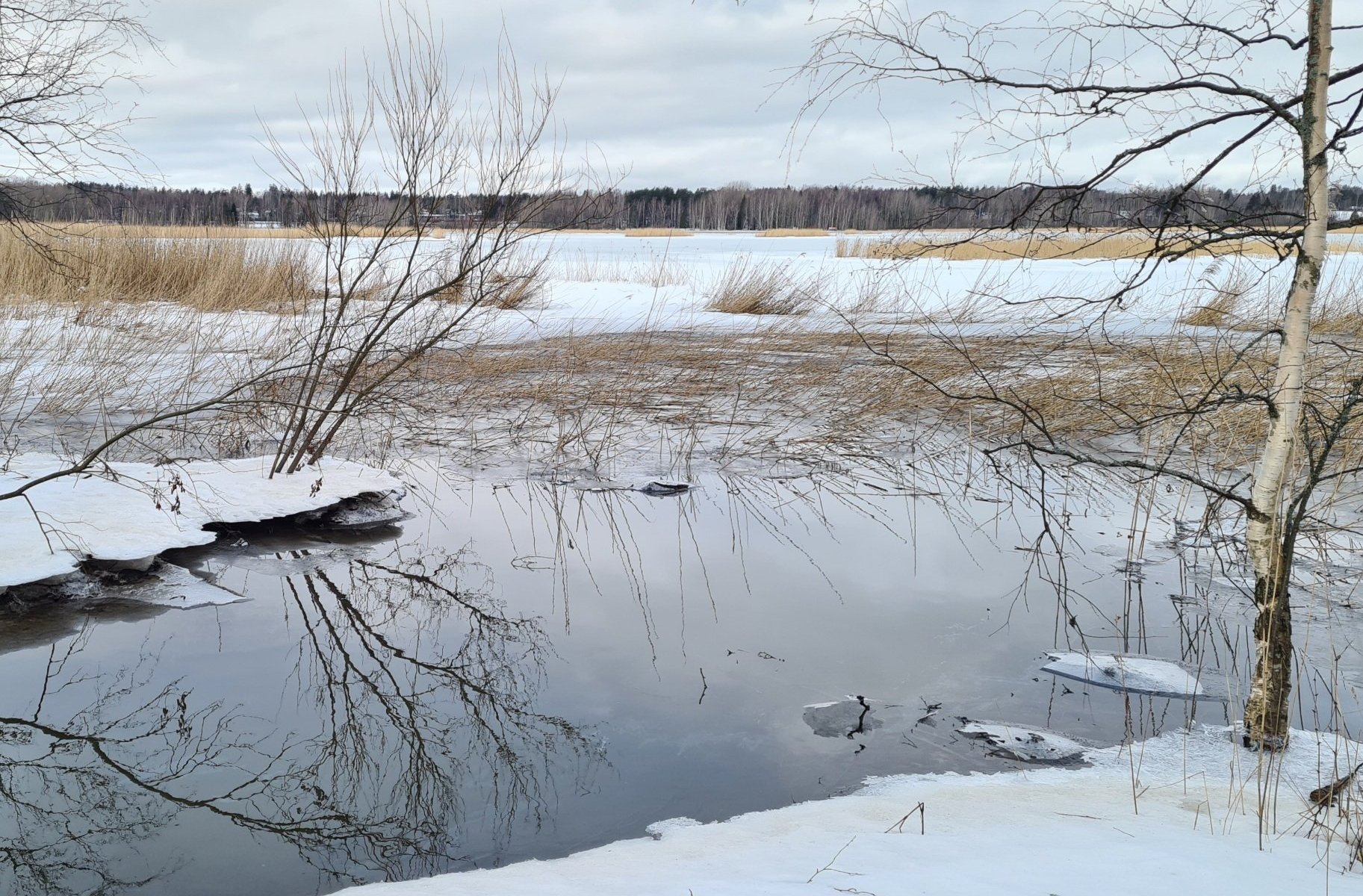 laajalahden luonnonsuojelualue