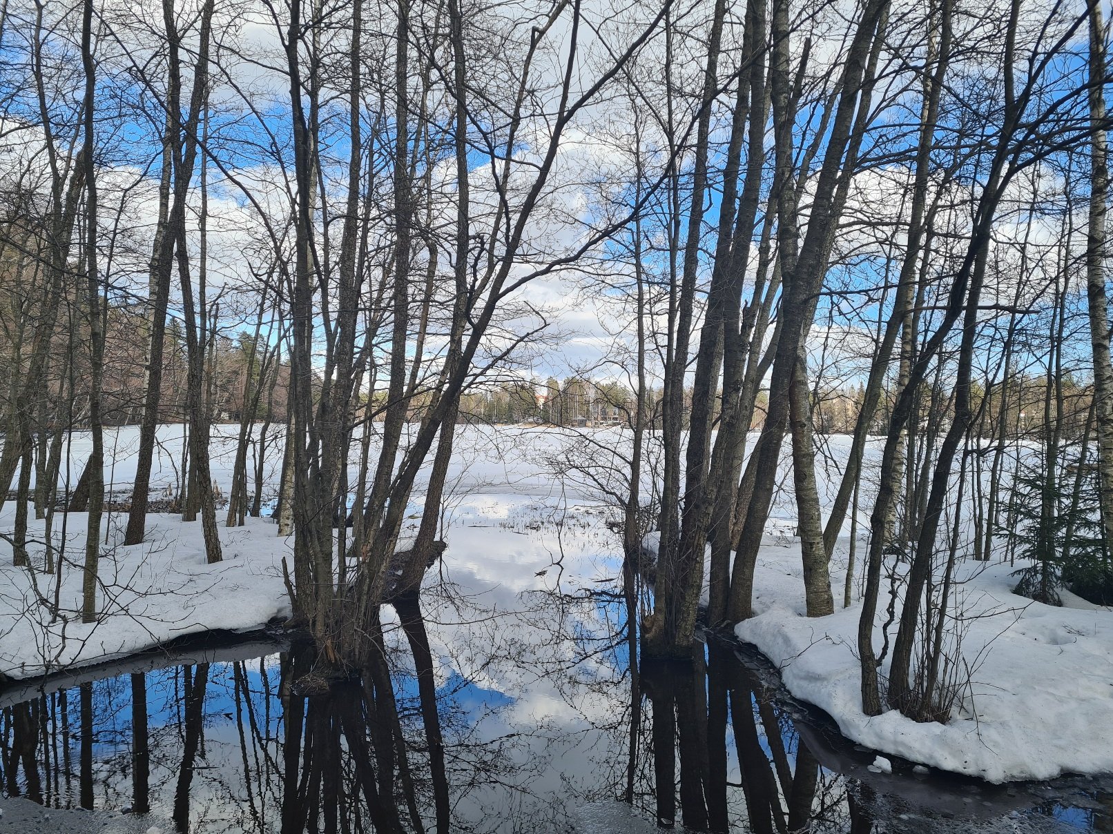 galltrask jarvi kauniaisissa