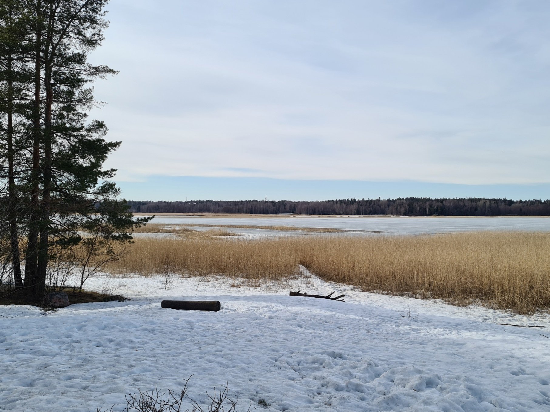 laajalahti nakyma merelle talvella