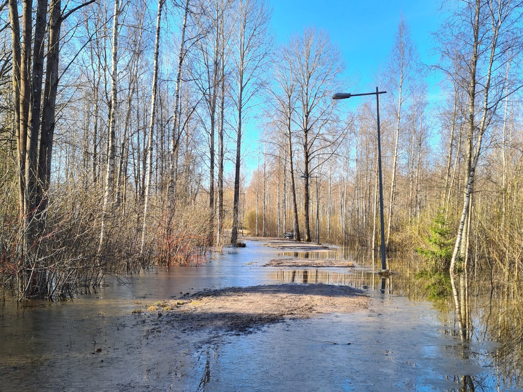 jarvi tulvii lenkkipolulle espoossa