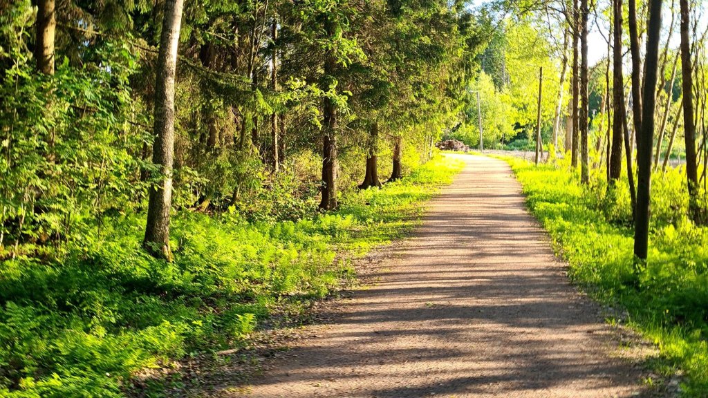 leppavaaran urheilupuiston kuntorata alkukesan vehreydessa