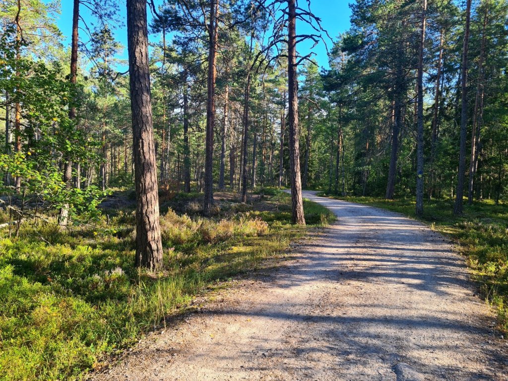 ulkoilureitti pirttimeassa