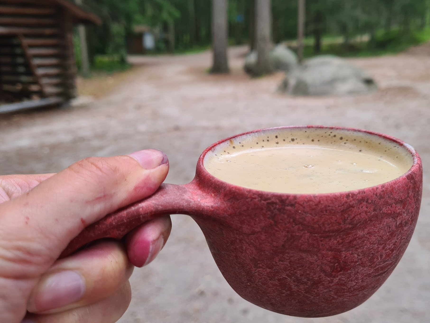 sormet sinisina mustikasta