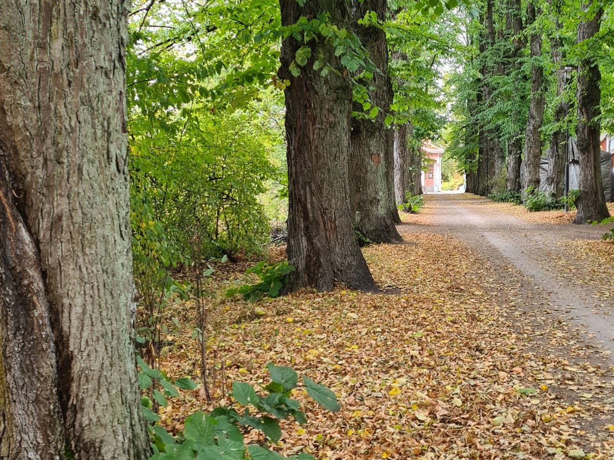 pyoratie huopalahdessa