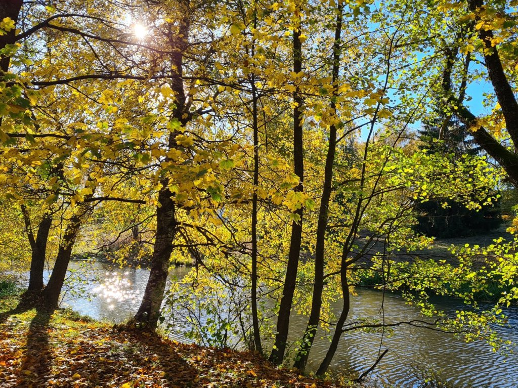 keravanjoki virtaa syksyisessa maisemassa