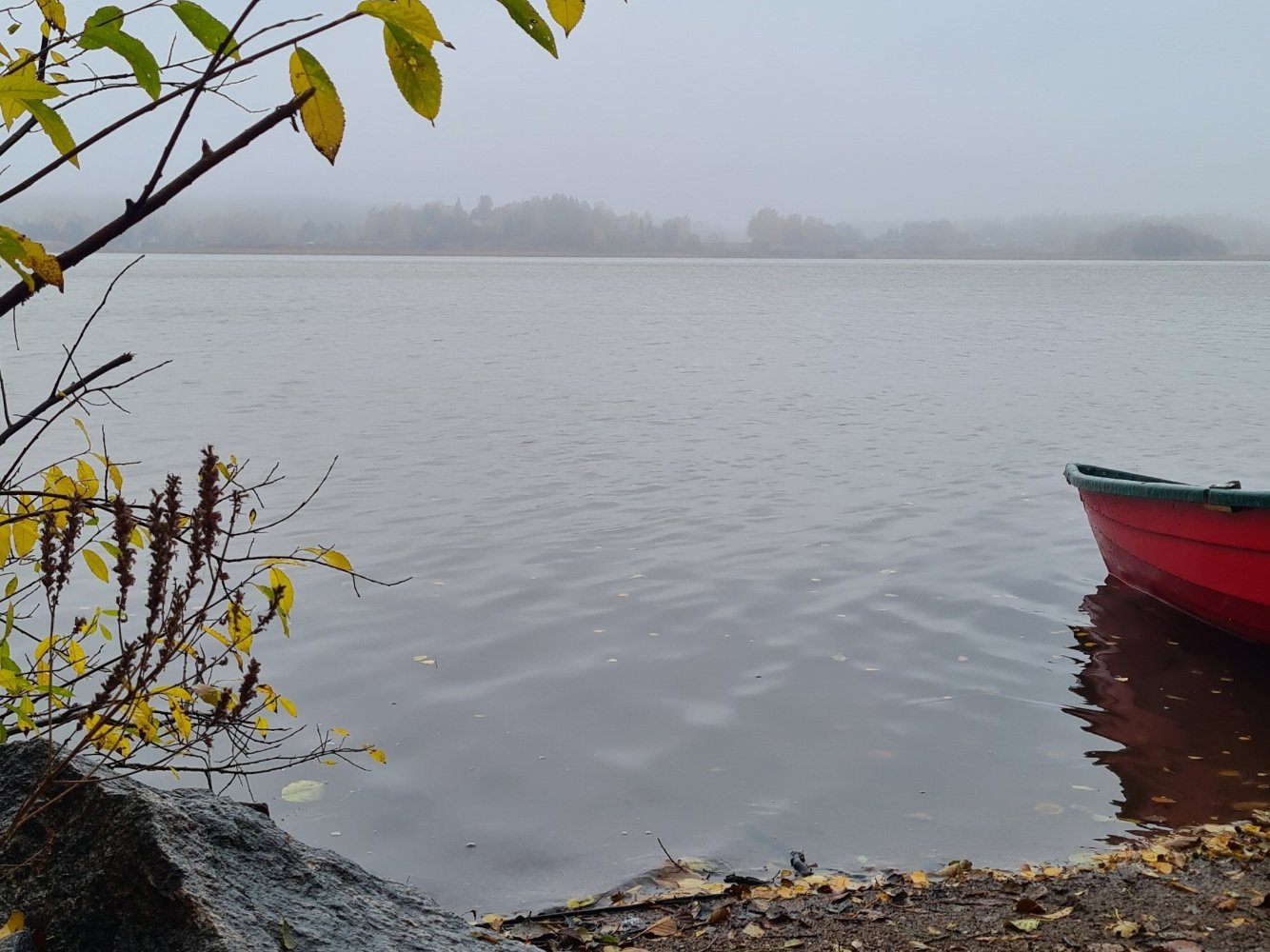 punainen soutuvene pienen jarvena rannassa