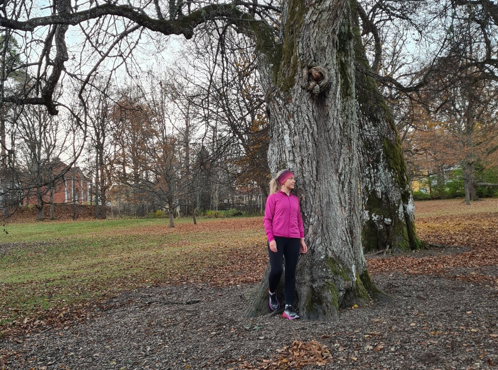 juoksija nojaa isoon vanhaan puuhun traskandan puistossa