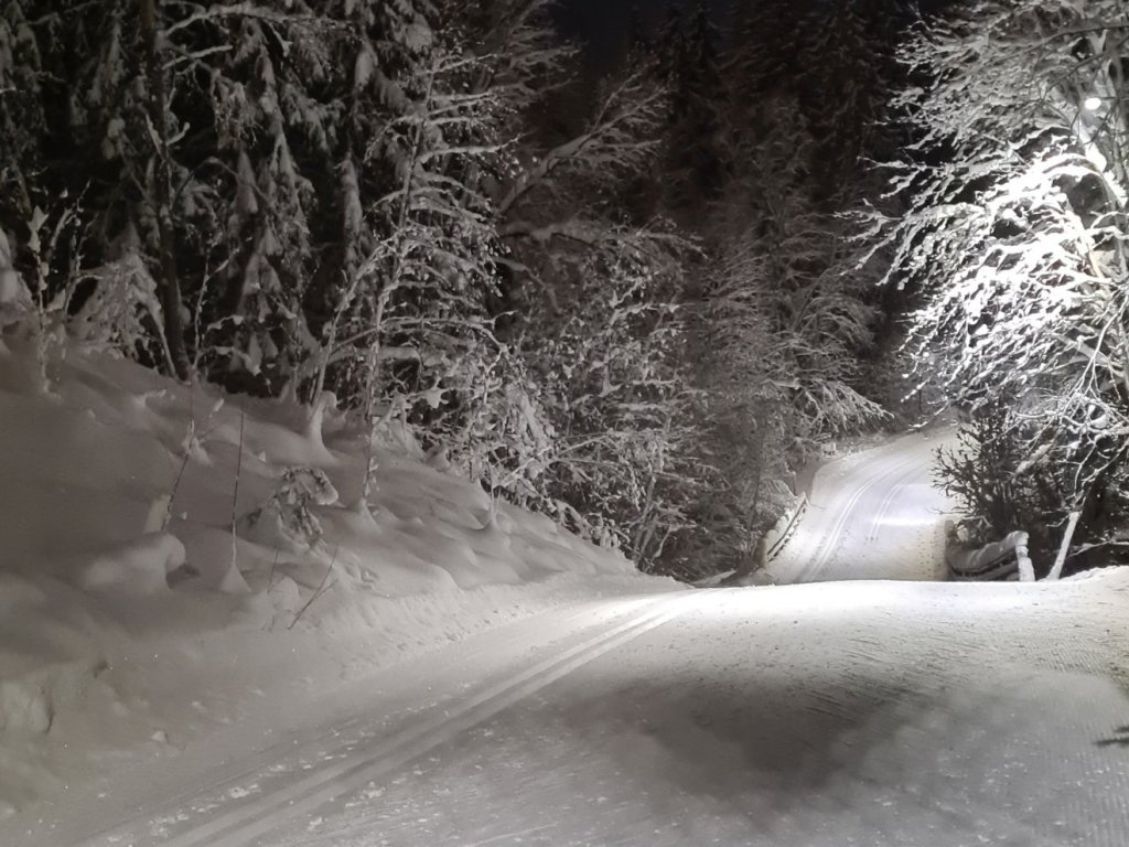 marjon maki leppavaaran urheilupuistossa