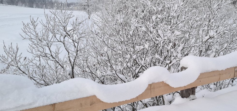 lumikuorma notkuu aidan paalla