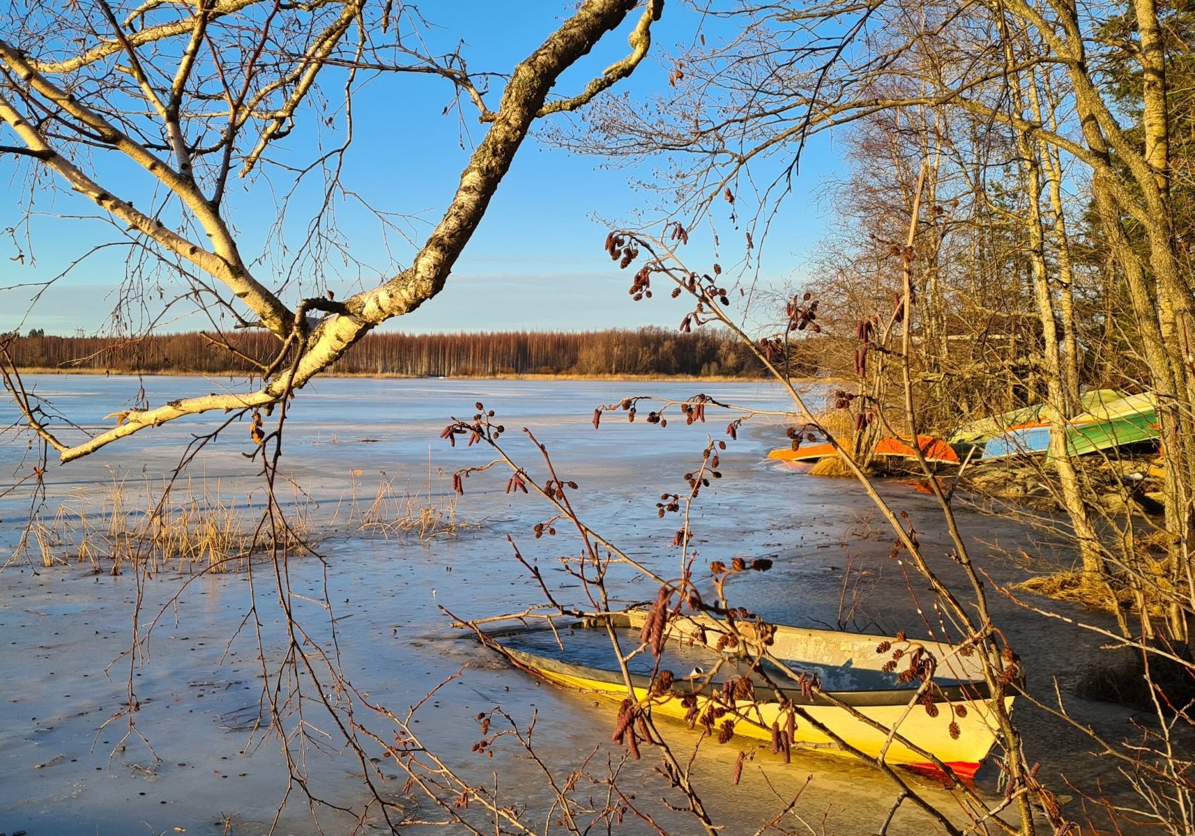 aurinkoinen talvipaiva espoon pitkjarven rannassa