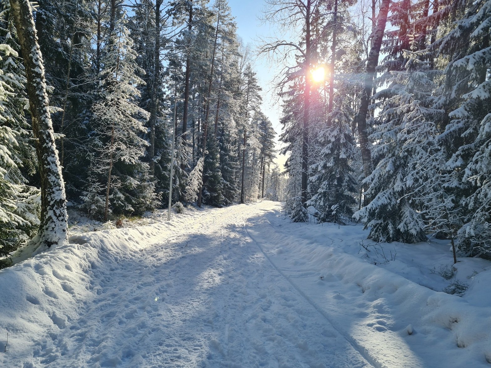 keskipaivan aurinko helmikuussa