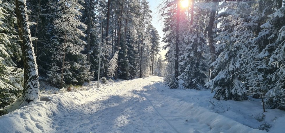 keskipaivan aurinko helmikuussa