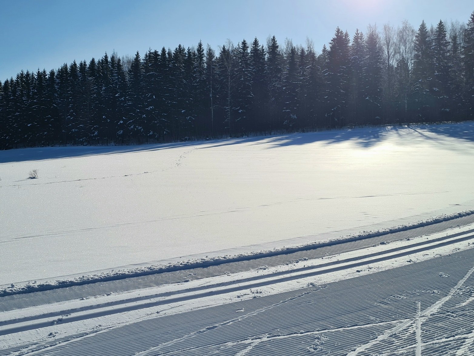perinteisen hiihdon latu ja luistelu ura vierekkain pellolla