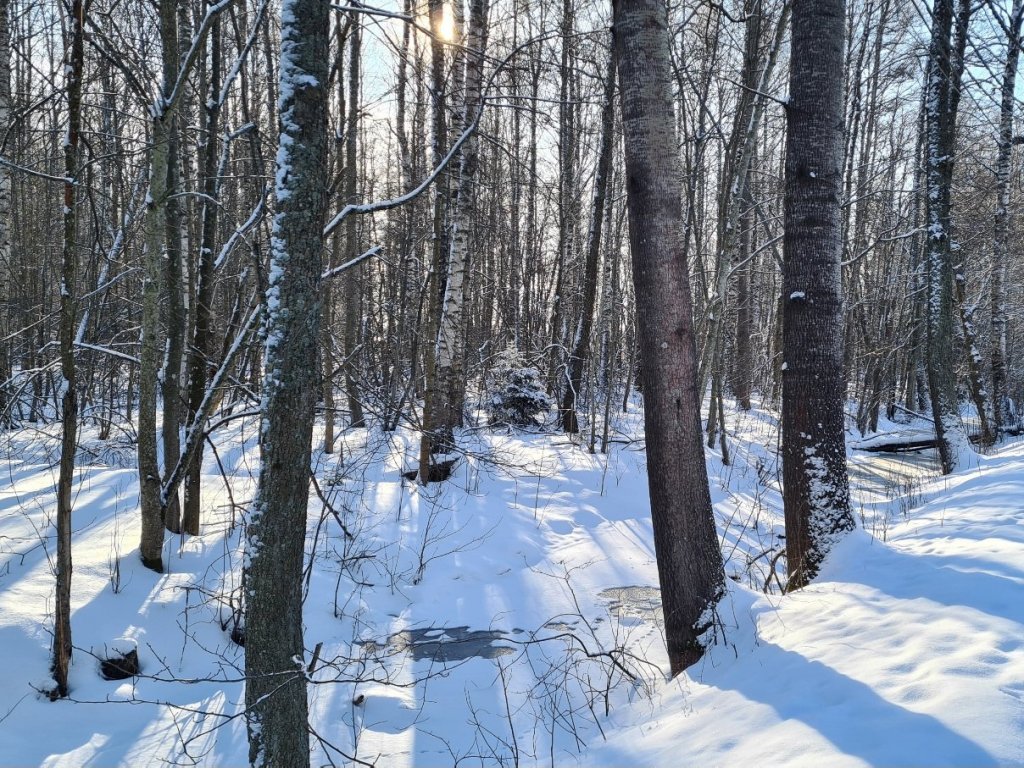 aurinko paistaa merelta pain laajalahdella