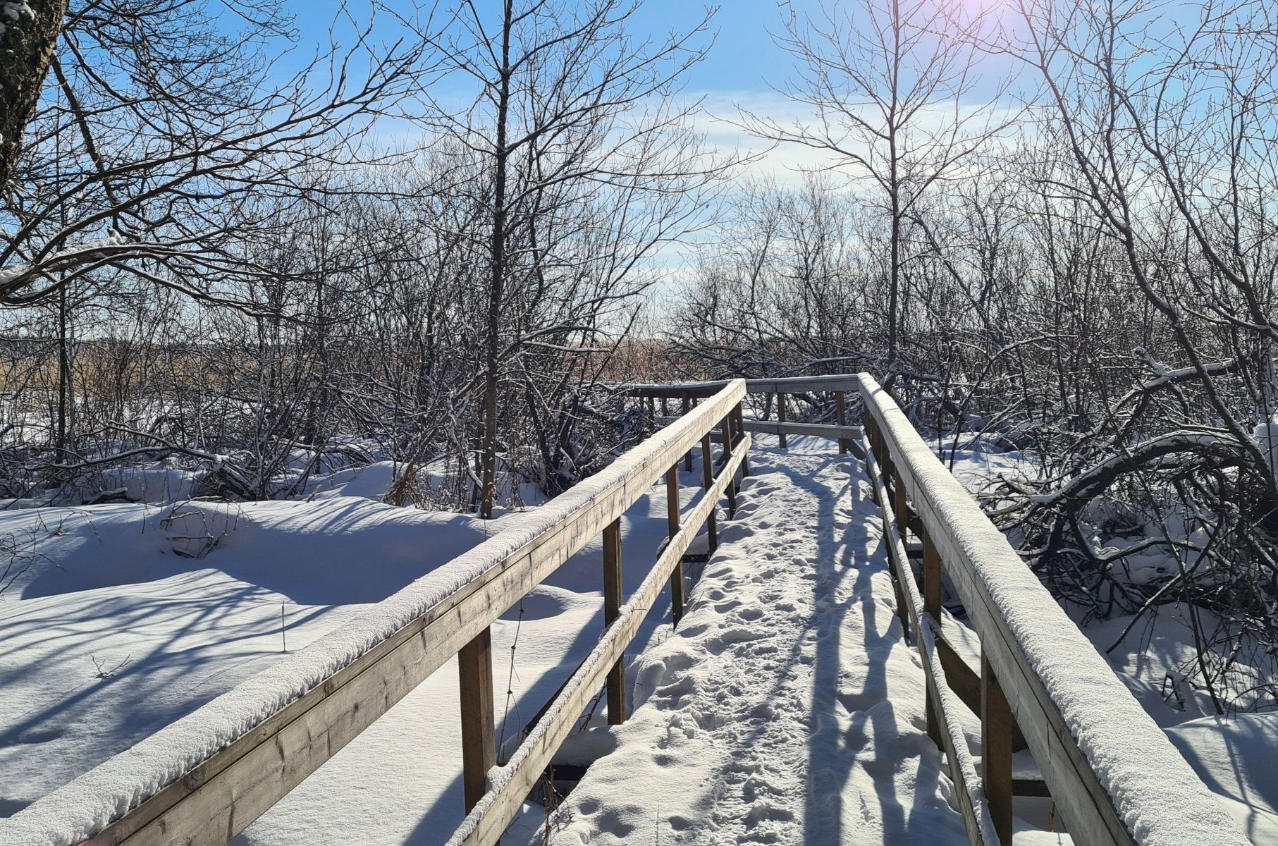 pitkospuut laajalahdella