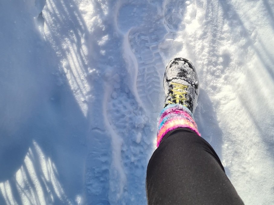 raidalliset varikkaat villasaarystimet