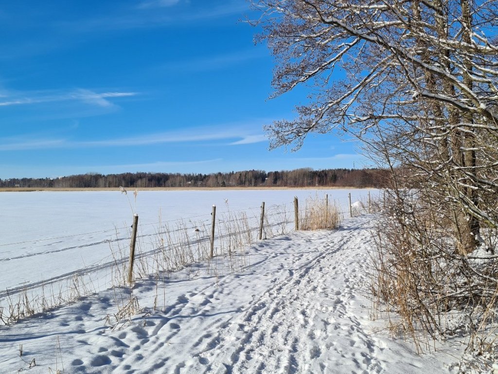 lehma aitaus laajalahdella