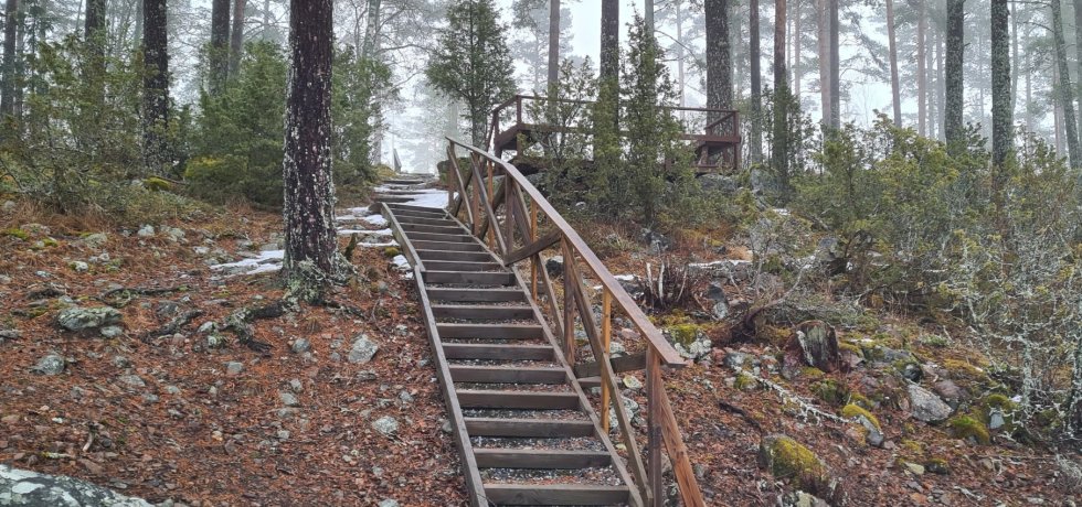 portaat mantyrinteessa