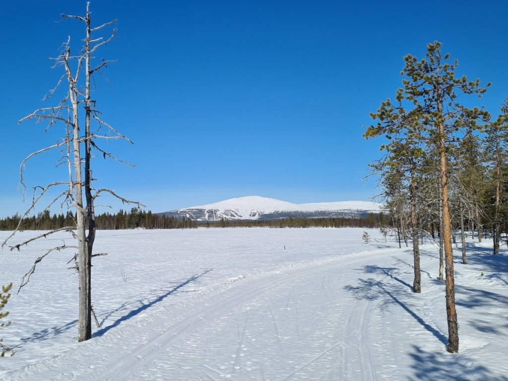 yllas tunturi nahtyna ahvenjarvelta pain