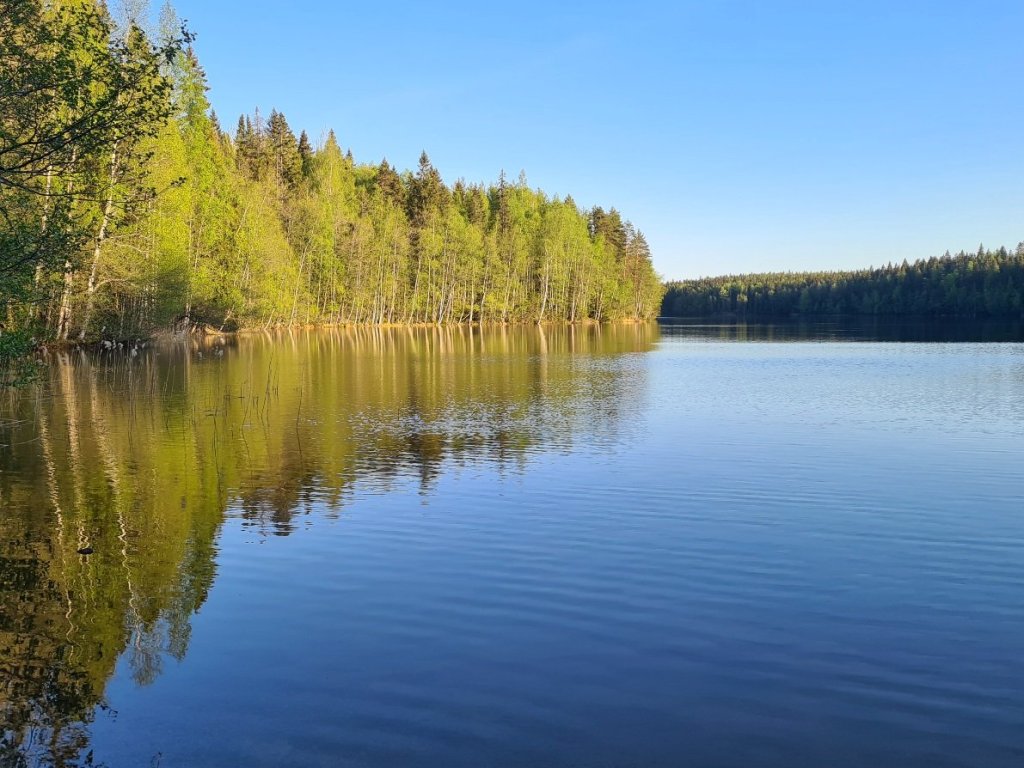 kuva jossa aurinko paistaa vastarannan puihin