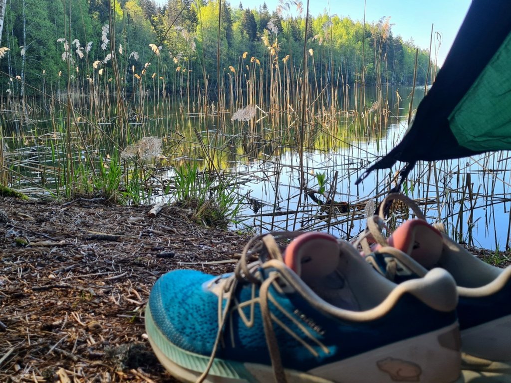 aamu jarven rannalla